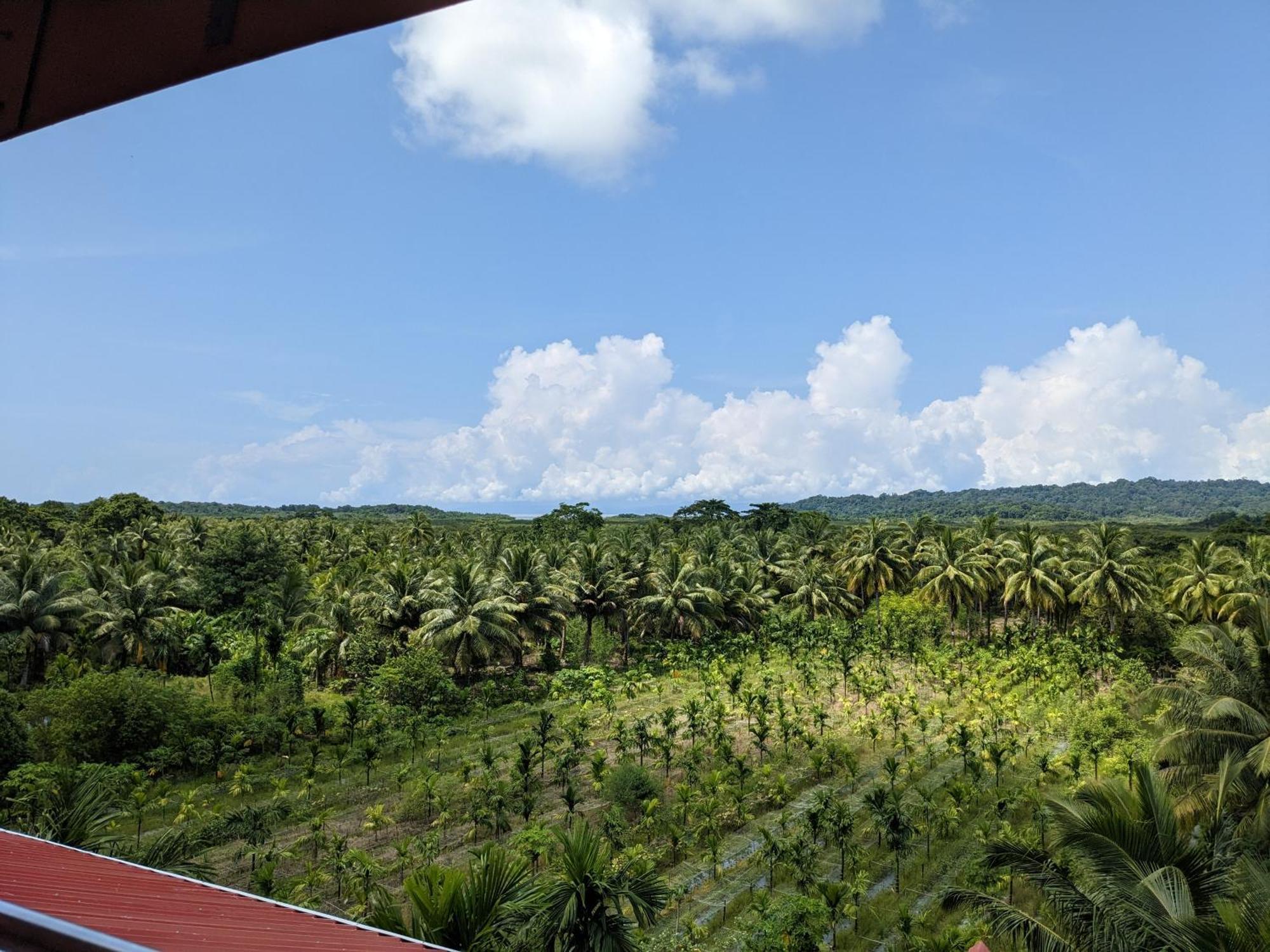 Parkresort - Organic Farm Resort Kala Pathar Beach 외부 사진